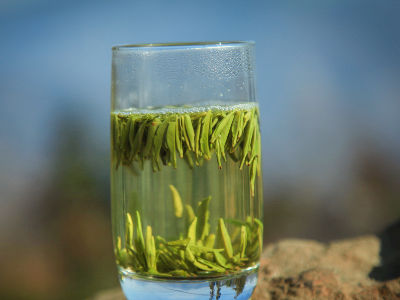 竹葉青茶怎么樣，檔次較高味道略苦價格比較貴