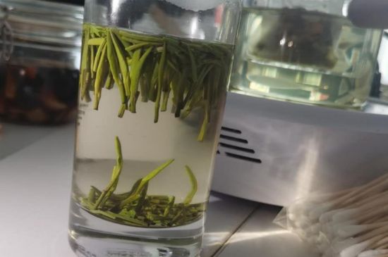 金壇雀舌算不算好茶，金壇雀舌屬于什么檔次茶葉？