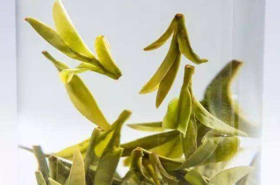 烏牛早和龍井的區(qū)別圖片，龍井43號和烏牛早茶的對比