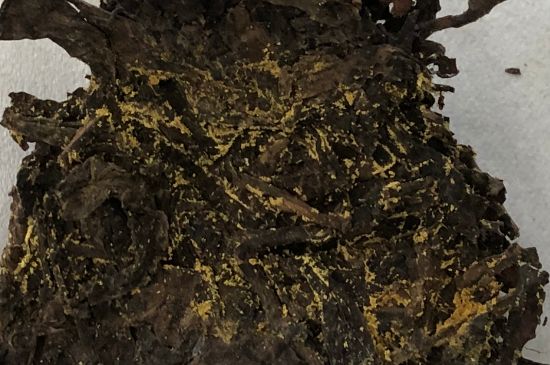 怎么知道涇渭茯茶是否變質(zhì)，茯磚茶金花和發(fā)霉的區(qū)別