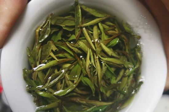 什么人不能喝白茶，白茶不宜什么人喝？