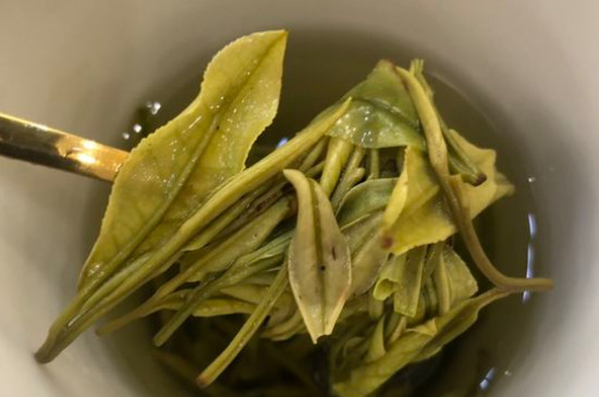 新舊白茶怎么區(qū)分，怎么分辨白茶是新還是舊