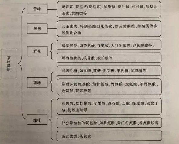 白茶三年為藥七年為寶的原理，為什么說一年茶三年藥七年寶？