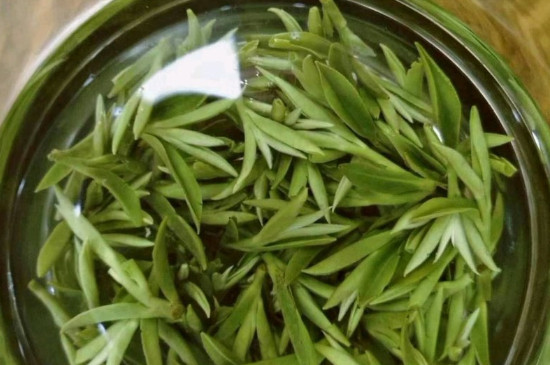 什么綠茶茶葉唇齒留香，哪個(gè)品種綠茶香氣好？