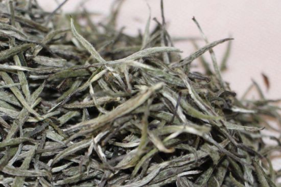 什么人不能喝白茶，白茶不宜什么人喝？