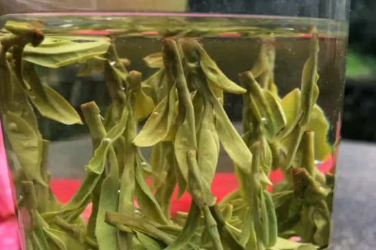 什么綠茶最香最好喝，綠茶口感與香氣排名