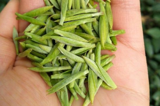 什么綠茶味道濃香，那個(gè)綠茶比較濃香？