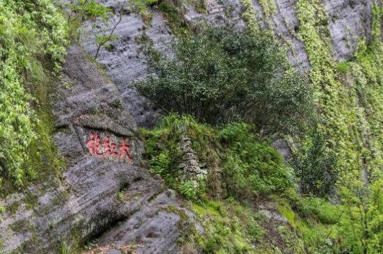 大紅袍為什么沒保質(zhì)期，武夷巖茶大紅袍能放幾年？