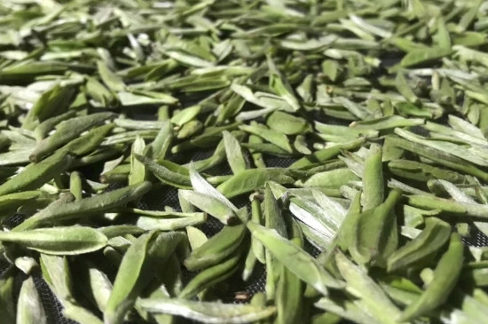 白毫銀針年份久的有什么香，陳年白毫銀針的香氣