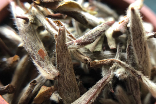 白毫銀針年份越久越好嗎，銀針白毫是否越陳越好