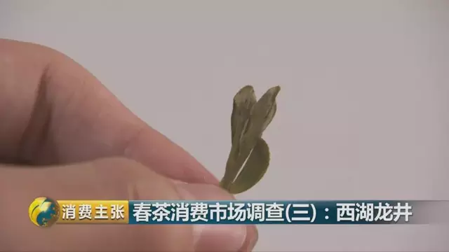 龍井群體種和43號的區(qū)別圖片，龍井43和群體種哪個(gè)好喝？