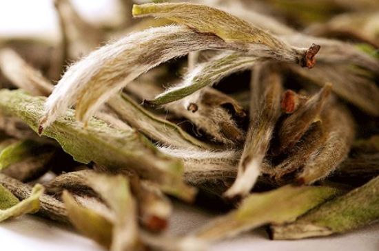 荒野銀針有什么特點(diǎn)，荒野銀針的味道口感咋樣？