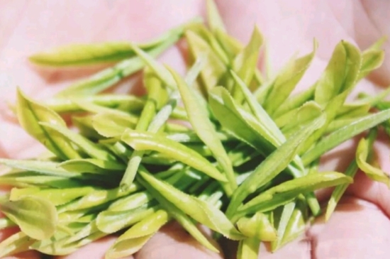 龍井是明前的好還是雨前的好，明前茶和雨前茶哪個(gè)好喝？