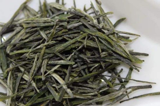 高山云霧茶屬于什么茶，高山云霧茶哪里的最好