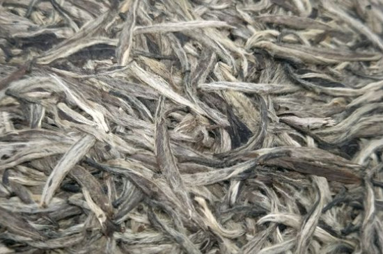 白毫銀針年份久的有什么香，陳年白毫銀針的香氣