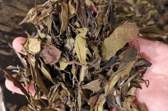 新舊白茶怎么區(qū)分，怎么分辨白茶是新還是舊