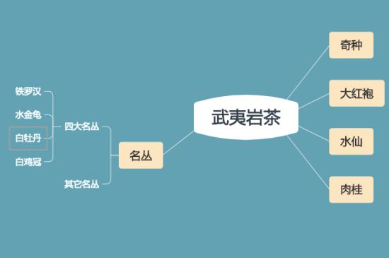 武夷巖茶品種大全，巖茶有幾種？