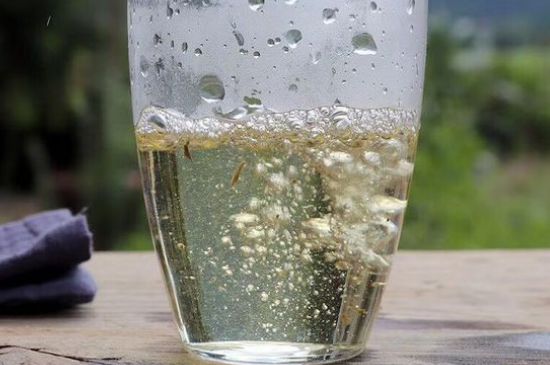 三年白茶賽砒霜，這是真的嗎？