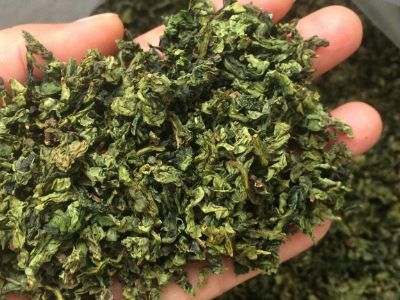 鐵觀音毛茶茶?？梢耘菟葐幔F觀音帶梗是不是好茶？