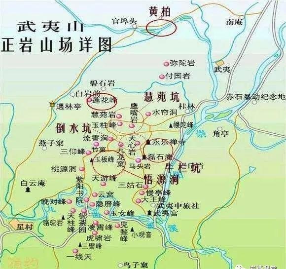 300塊錢的金駿眉能喝嗎，兩三百多金駿眉和一千多區(qū)別