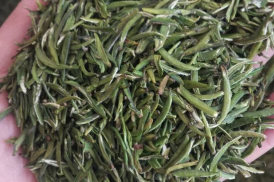 金壇雀舌算不算好茶，金壇雀舌屬于什么檔次茶葉？