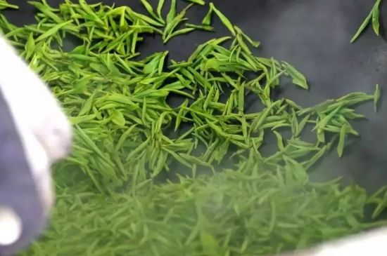 碧螺春為什么泡水渾濁，碧螺春茶葉泡水感覺很臟是混濁的