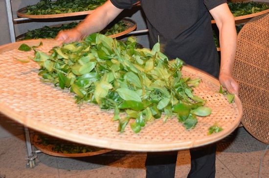 鐵觀音加香精騙局，鐵觀音的香味是添加香精了嗎？