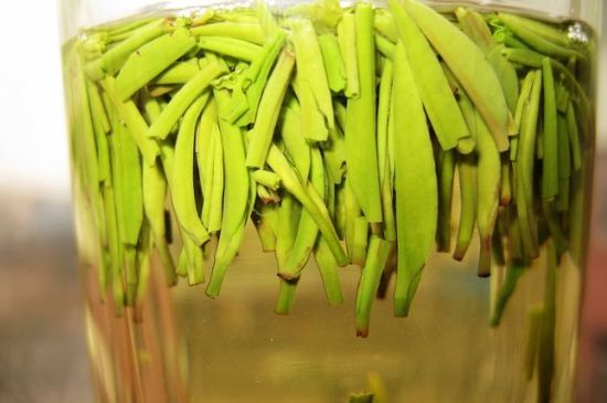 雀舌為何喝著是苦的，雀舌味道怎么那么苦澀？