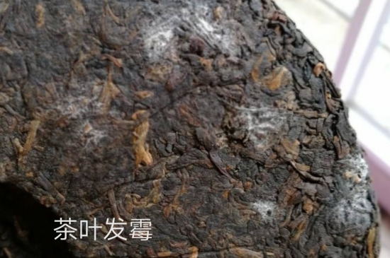西湖龍井茶毫和發(fā)霉區(qū)別圖片，長霉的龍井茶葉會(huì)是什么樣？